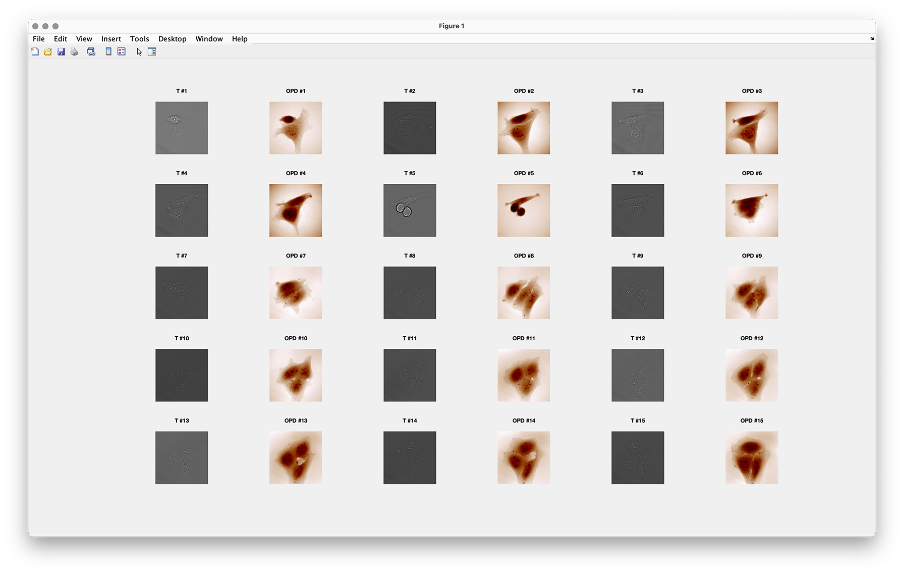../_images/overview.png